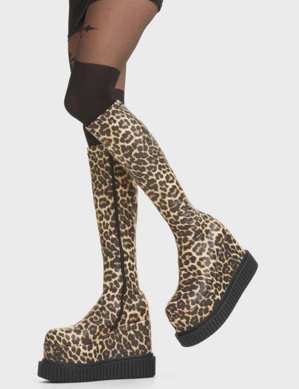 Lamoda Animal | Creepers^You're Wild Chunky Platform Creeper Knee High Boots